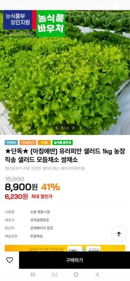 유러피언 샐러드 1kg