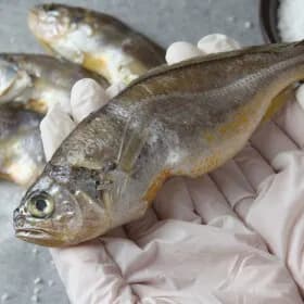 맘아픈 알뜰 진굴비 700g 30~40미 2봉