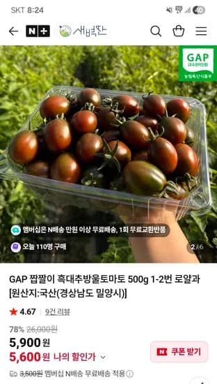 흑대추방울토마토 500g 1-2번 로얄과 네멤