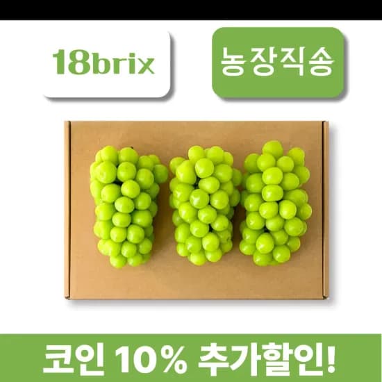 영동 고당도 프리미엄 샤인머스켓 2kg 2-4수
