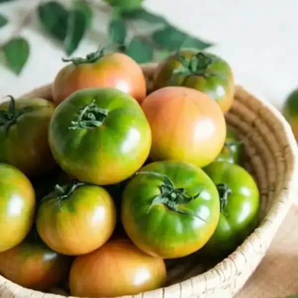 대저토마토 2.5kg 랜덤과수