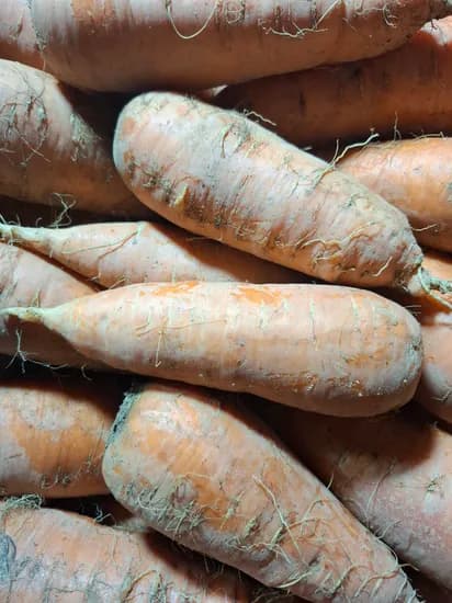 더팜몰 구좌당근 특상품 3kg 8500원  무배