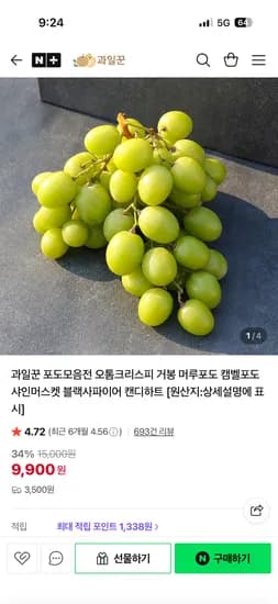 과일꾼 항공직송 오톰크리스피 청포도 1kg 9900원