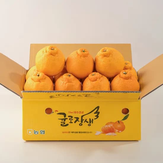 제주남원농협 곱들락 제주 한라봉 2kg 1박스, 15,900원