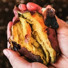 고창 김민상 꿀밤고구마 5kg 특상 12,510원 무배