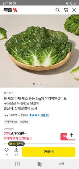 제철 채소모음 봄동 1kg 5,700원 무배
