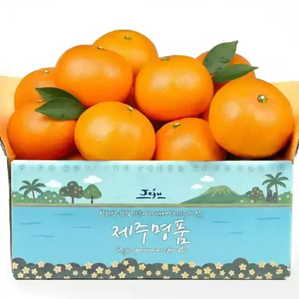 제주 천혜향 2kg 12~16과