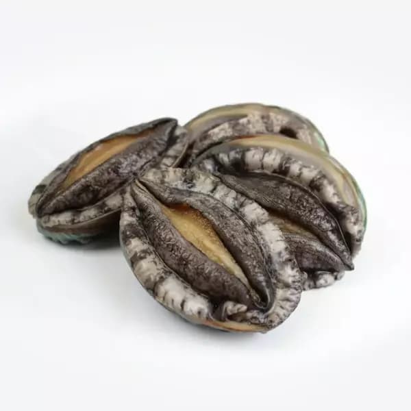 산지직송 완도 참 전복 1kg 12-13마리 18,180원