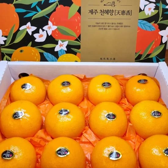 제주 고당도 천혜향 3kg 19,236원 무배