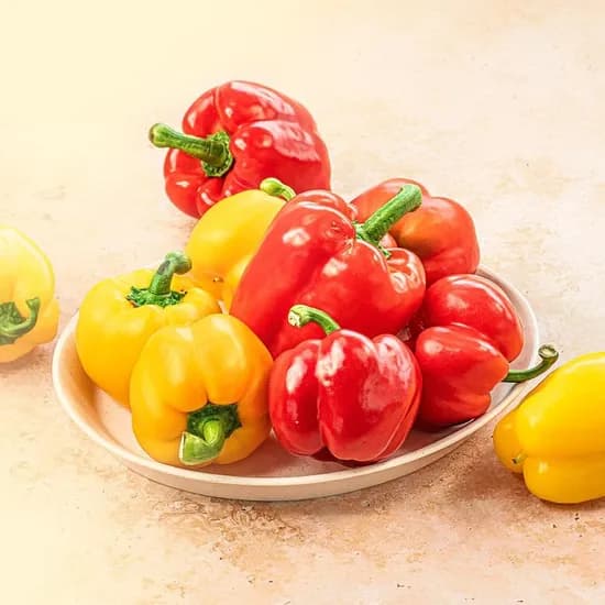 못난이 파프리카 빨강 노랑 2kg