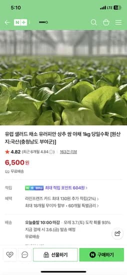 모닝큐 유러피안 샐러드 1kg