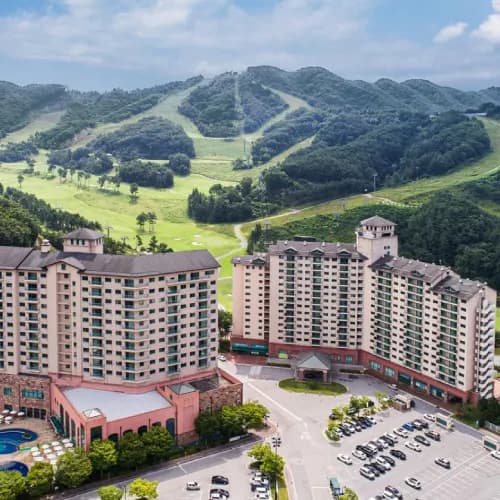 오크밸리 얼리버드 룸온리 vs 수영장 vs 조식 75,030원~