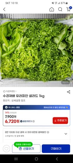 유러피안 샐러드 1kg 6,720원 무배
