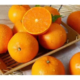 제주 B컷 고당도 천혜향 4kg+한라봉2과증정 15,980원 무배