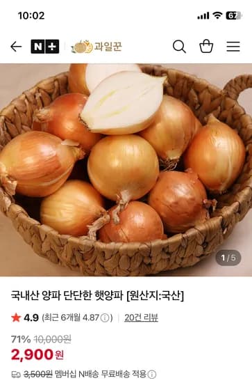 과일꾼 국내산 햇양파 3kg 4,900원