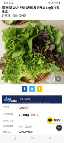 GAP 유럽 샐러드용 쌈채소 1kg 5-6종 랜덤