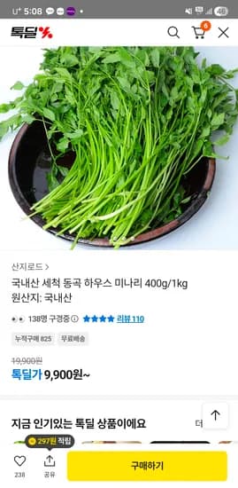 국내산 세척 동곡 하우스 미나리 400g