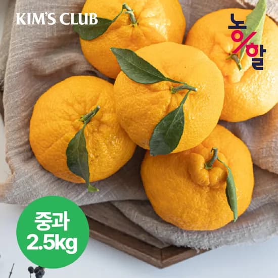 산지직송 고당도 제주 한라봉 2.5kg 중과 10-14입 17,900원