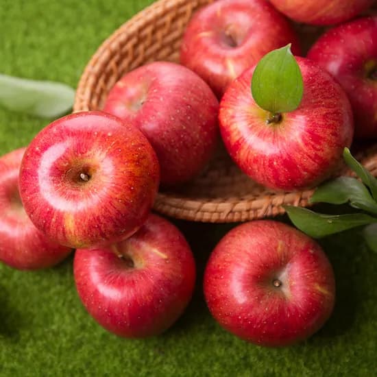 산지직송 주스용 사과 5kg 랜덤과 14,900원 (무배/초핫딜)