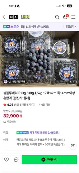 더팜 생블루베리 1.5kg 12팩 1박스