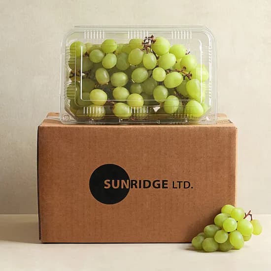 칠레 청포도 900g 9,900원 무배