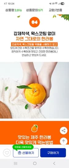 가정용 제주 한라봉 4.5kg(15-25과내외) 일부카드 13,350원