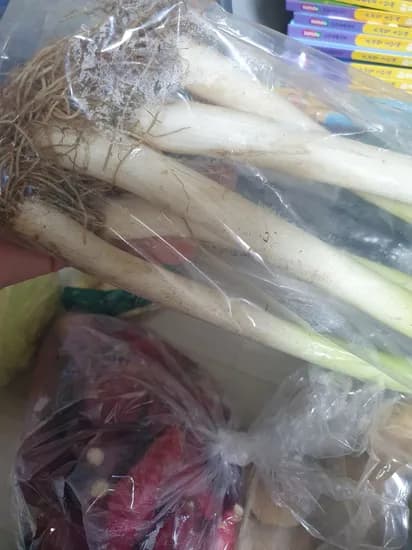 식명관 천원 야채왔어요~오이/가지/양배추/고구마/감자 각 1,000원