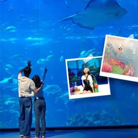 아쿠아플라넷 제주 입장권 32,370원