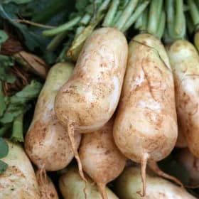 알타리 총각무 4kg내외 2단 14,350원