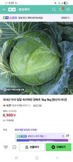 양배추 3kg 랩핑 중 사이즈 6,900원 무배
