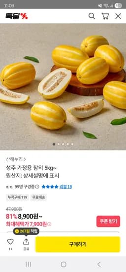 카카오] 가정용 성주 참외 5kg 19,900원 / 2kg 11,900원 무배