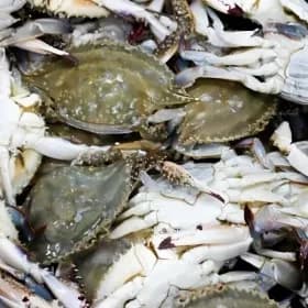 냉동 연평도 암꽃게 절단꽃게 1kg 17,970원 무배