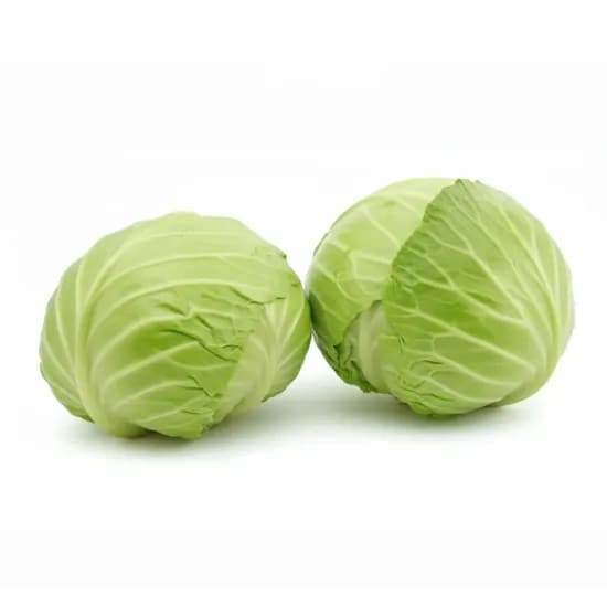 제주 햇 양배추 5kg 8,295원