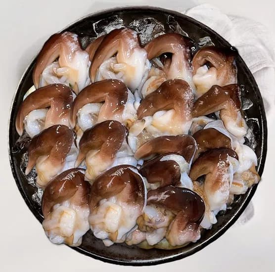 딜크릿 최고급 손질 새조개 자연산 28,720원 무배