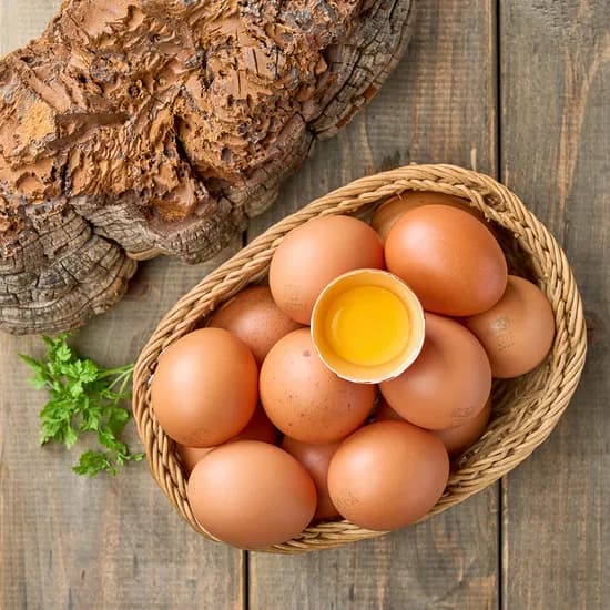 양계장 청년 난각번호 1번 상황버섯 먹여 키운 유정란, 20구 9,900원