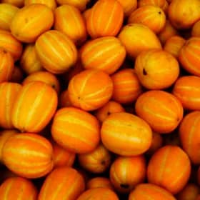 경북 성주 못난이 참외 2kg 15,700원