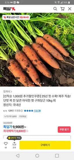 제주 햇 구좌당근 주스용 10kg