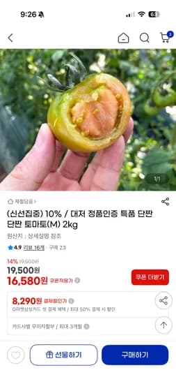 대저 특품 단짠단짠 토마토 M 2kg 15,420원 무배