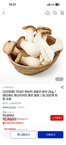 국내산 무농약 못난이 새송이 버섯 10,200원