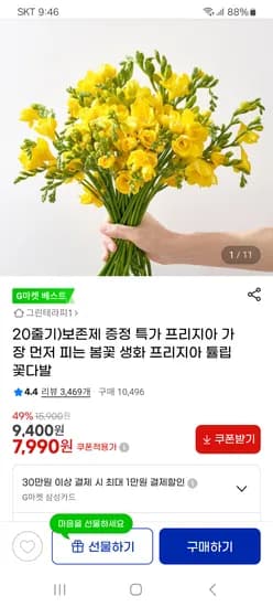 프리지아 20줄기 + 보존제 증정 7,990원 무배