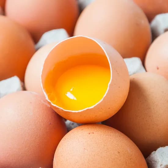 과일꾼 HACCP인증 무항생제 특란 30구 7,600원 네멤무배