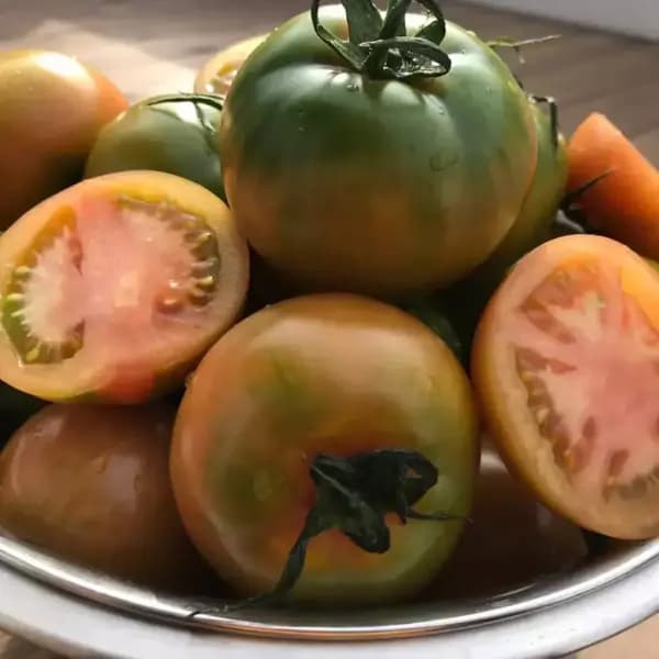 산지직송 대저 토마토 특품 2kg(S-2S)/소과 20,430원