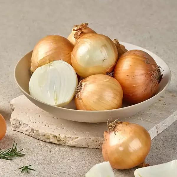 국내산 햇 양파 10kg 중사이즈 8,940원~