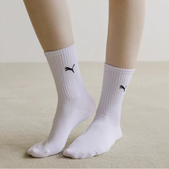 락포트 에브리데이 단목 양말 10켤레 9,900원