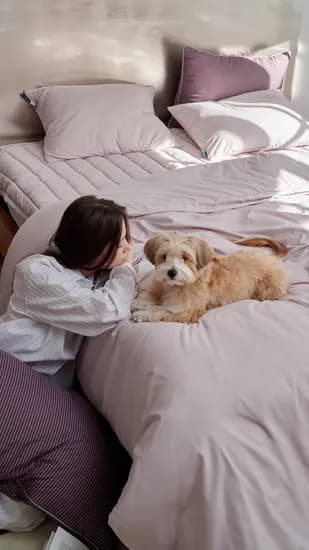 호무로 런칭특가 알러지케어침구 98,000원 무배