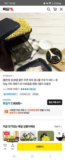콩나물키우기 키트+쥐눈이콩 7,900원