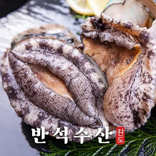 백야장터 반석수산 완도 특대 활전복 6-7미 1kg+손질솔 증정 28,600원 ~