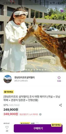 켄싱턴리조트 설악밸리 조식 여행 패키지 249,900원