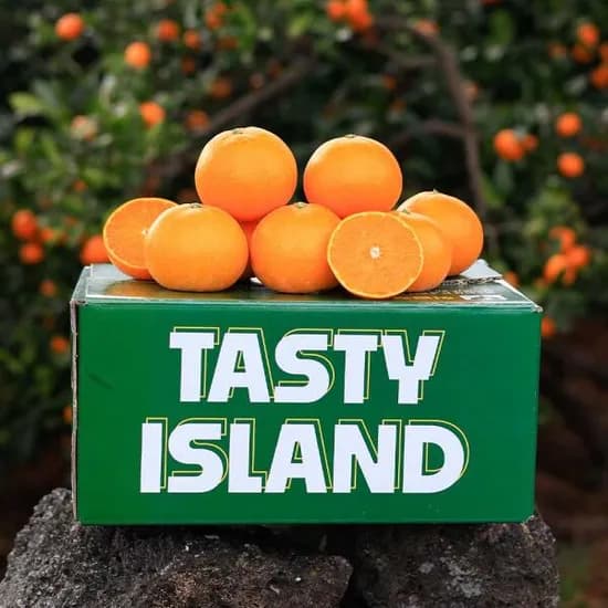 ) 고당도 천혜향 4.5kg 가정용(실중량 발송) 19,490원 무배