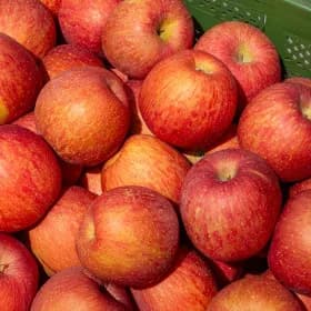 경북직송 알뜰 미색 부사사과 2kg 7,800원